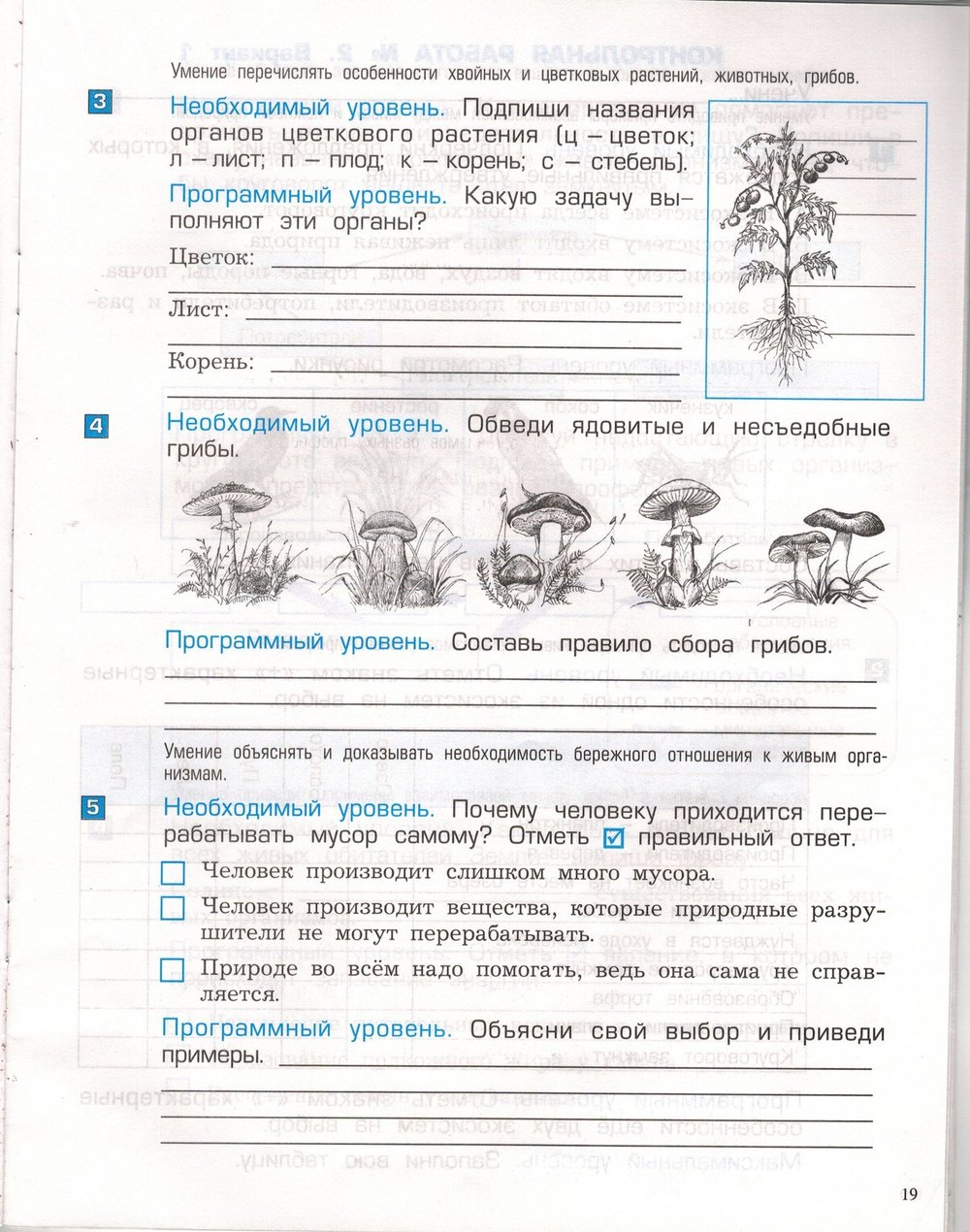 Рабочая тетрадь по окружающему миру 3 класс. Проверочные и контрольные  работы. Обитатели земли, задание номер стр. 19