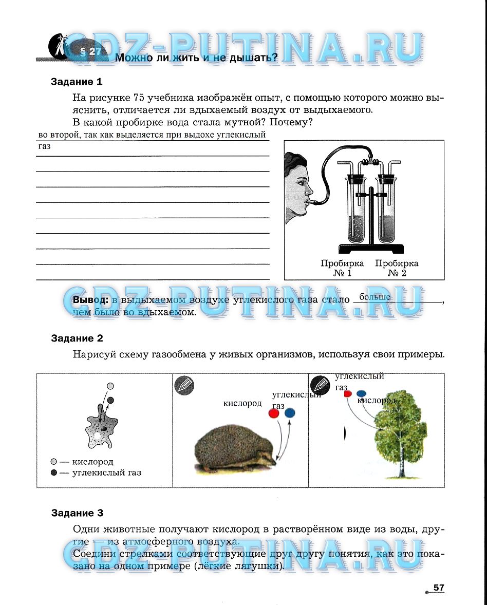 Рабочая тетрадь по биологии 5-6 класс. Часть 1, задание номер 57