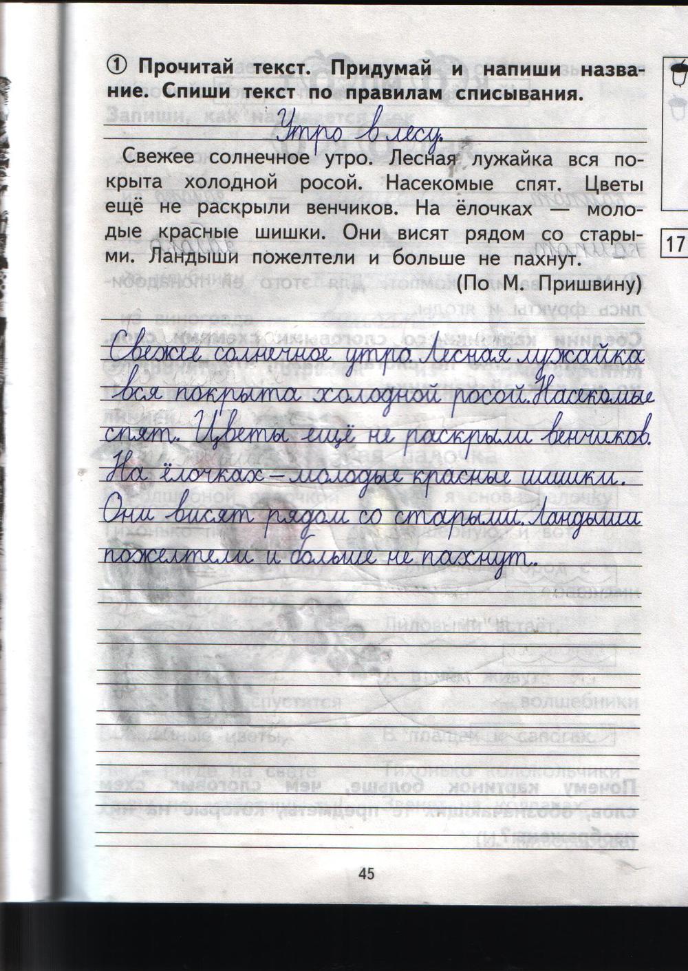 Рабочая тетрадь по русскому 1 класс, задание номер стр. 45