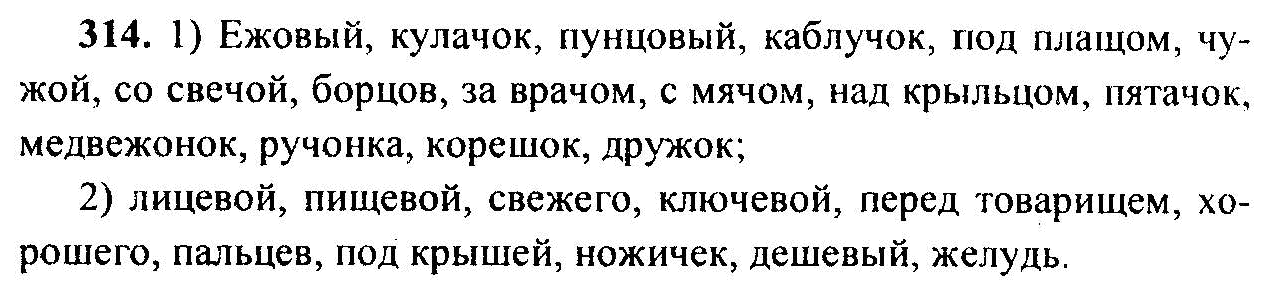 Русский язык 6 2023. Русский язык 6 класс ладыженская номер 314. Русский язык 6 класс упражнение 314. Гдз номер 314 русский язык 6 класс. Упражнение 314 по русскому языку 6 класс ладыженская.