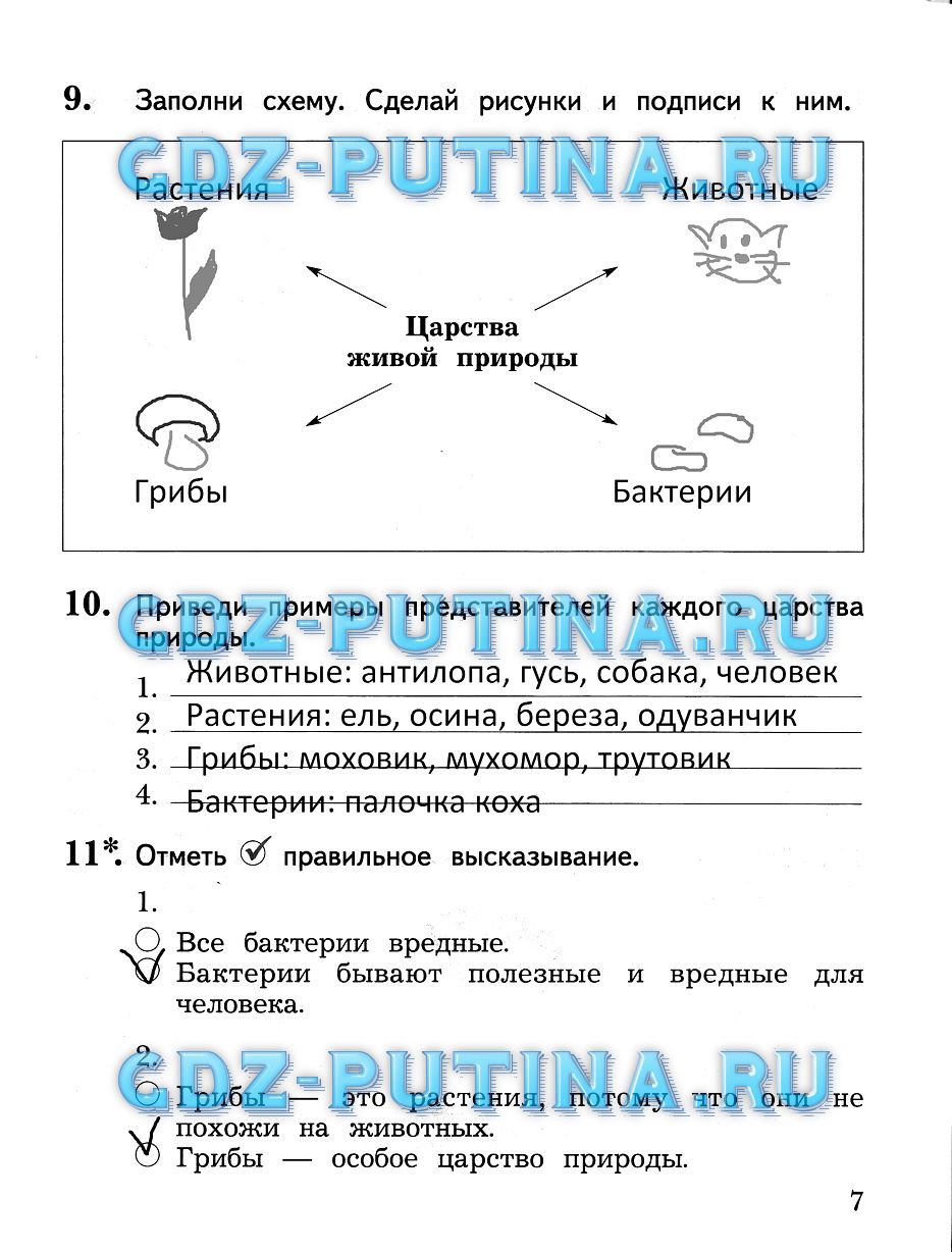 Рабочая тетрадь по окружающему миру 2 класс Часть 2 задание, 7