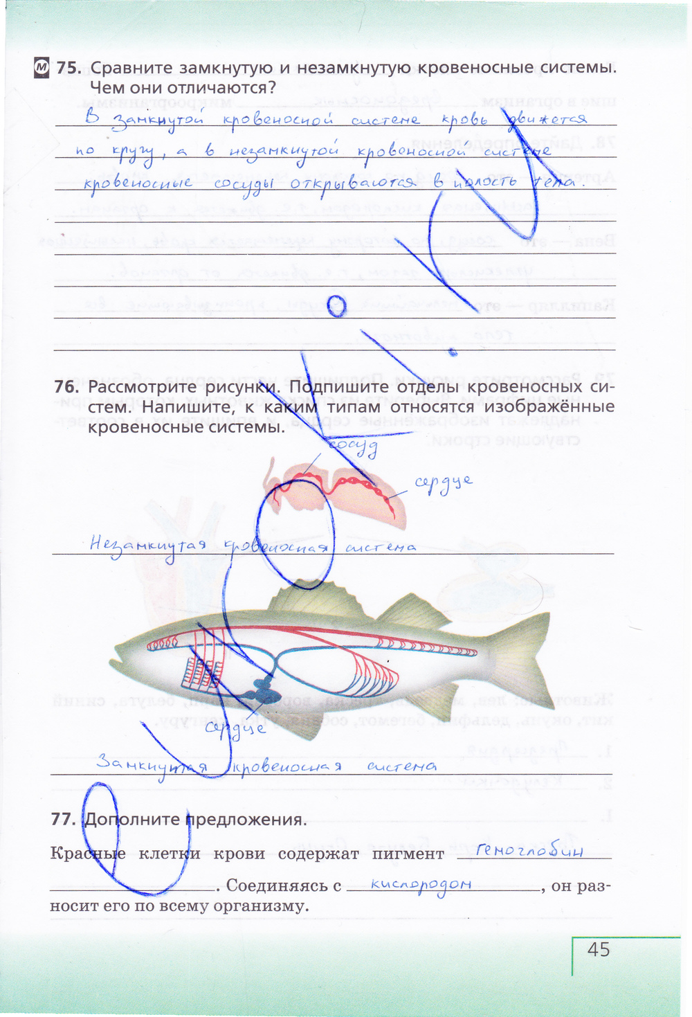 Рабочая тетрадь по биологии 6 класс (с белочкой), задание номер стр. 45