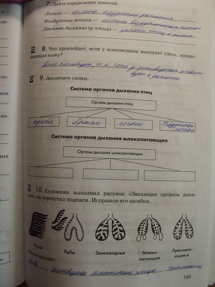 Биология 7 класс номер 4. Биология 7 класс латюшин Шапкин рабочая тетрадь. Биология 7 класс рабочая тетрадь латюшин Шапкина. Рабочая тетрадь латюшин Шапкин биология животные 7 класс. Биология животные 7 класс латюшин, в.в., Шапкин, в.а. 2015.