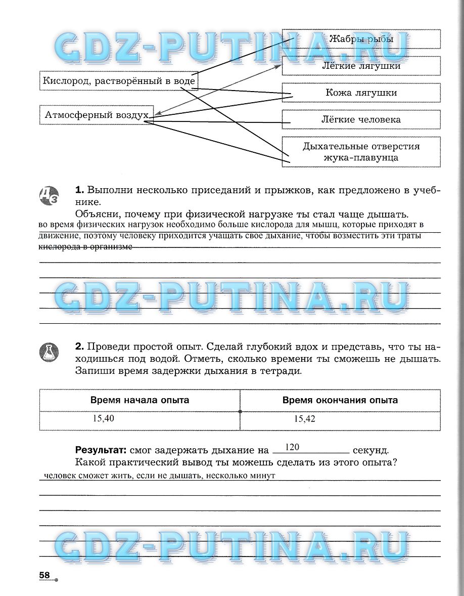 Рабочая тетрадь по биологии 5-6 класс. Часть 1, задание номер 58