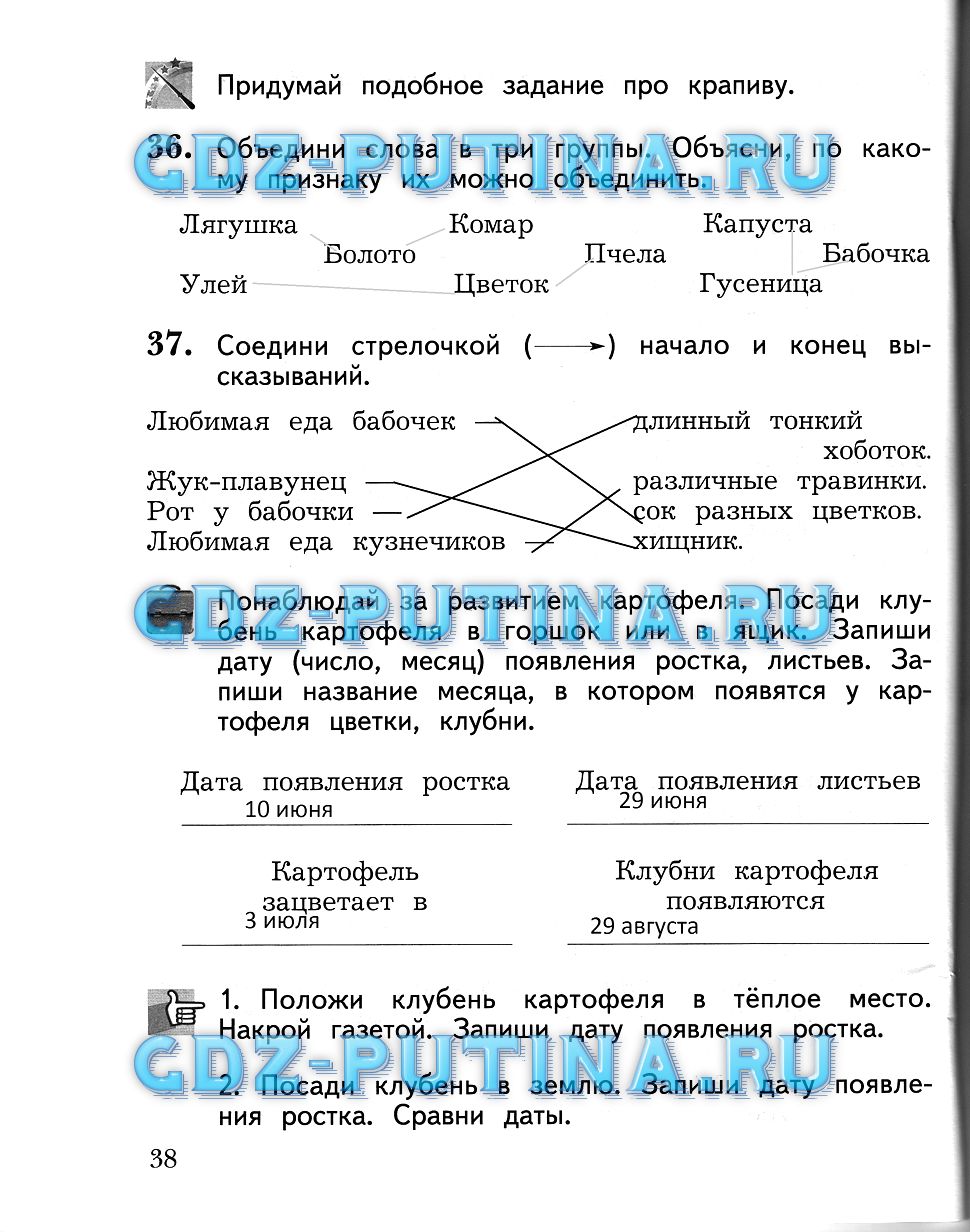 Рабочая тетрадь по окружающему миру 2 класс Часть 2 задание, 38