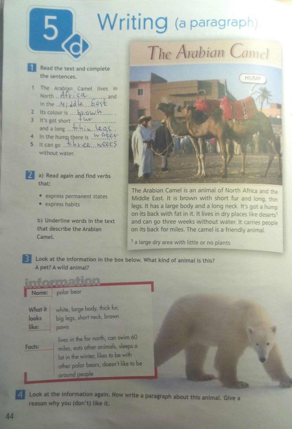 Английский язык 5 класс страница 87 ваулина