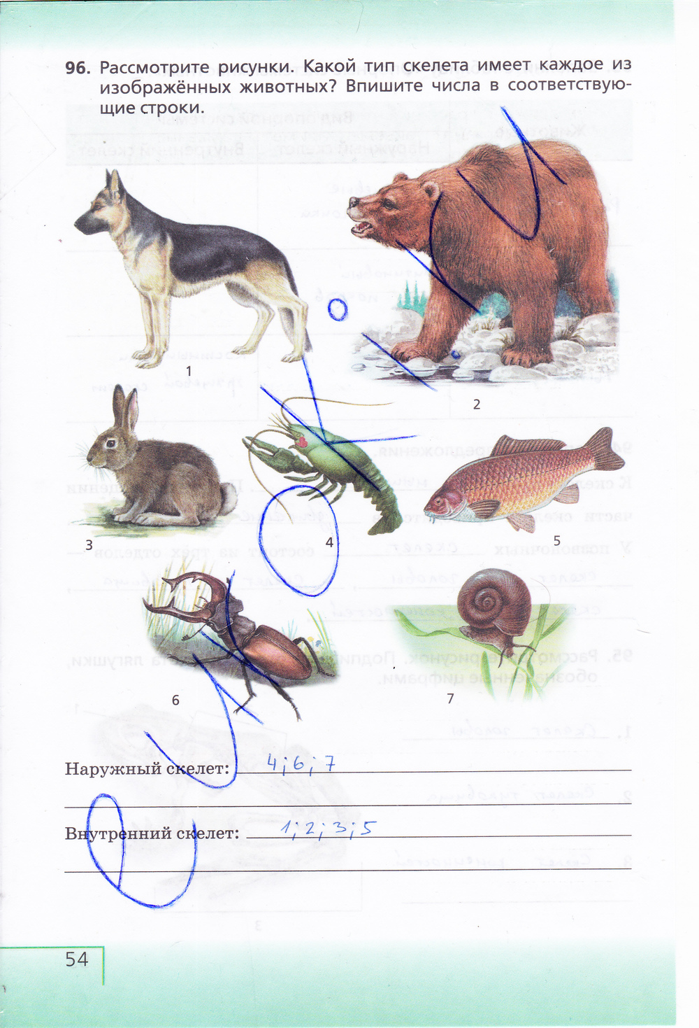 Определите с помощью атласа определителя животных изображенных на рисунках учебника