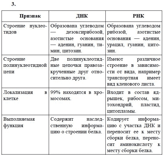 Днк и рнк 10 класс. Строение ДНК И РНК таблица. Строение и функции нуклеиновых кислот таблица 10 класс. Строение и функции нуклеиновых кислот таблица. Функции ДНК таблица.