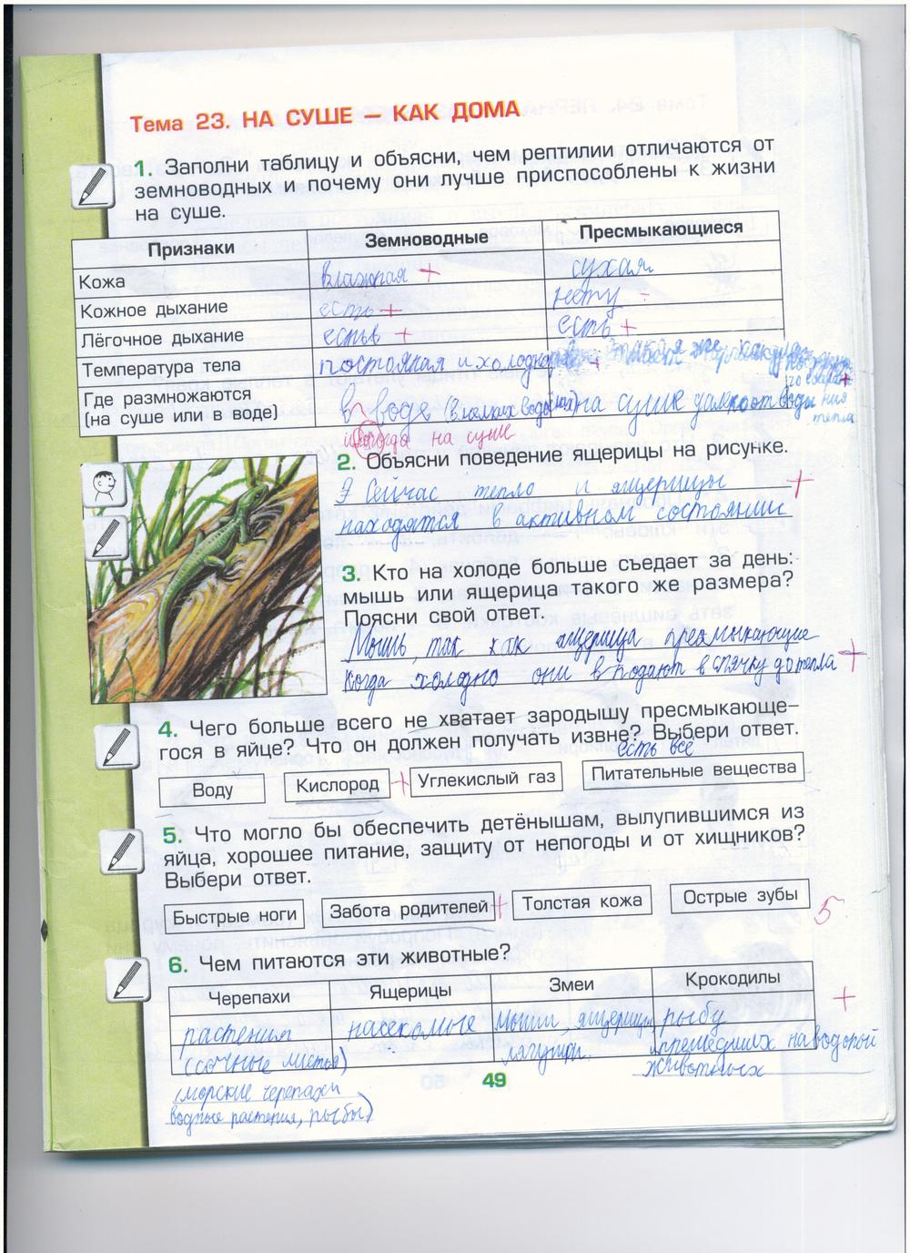 Рабочая тетрадь по окружающему миру 3 класс. Обитатели Земли, задание номер  стр. 49