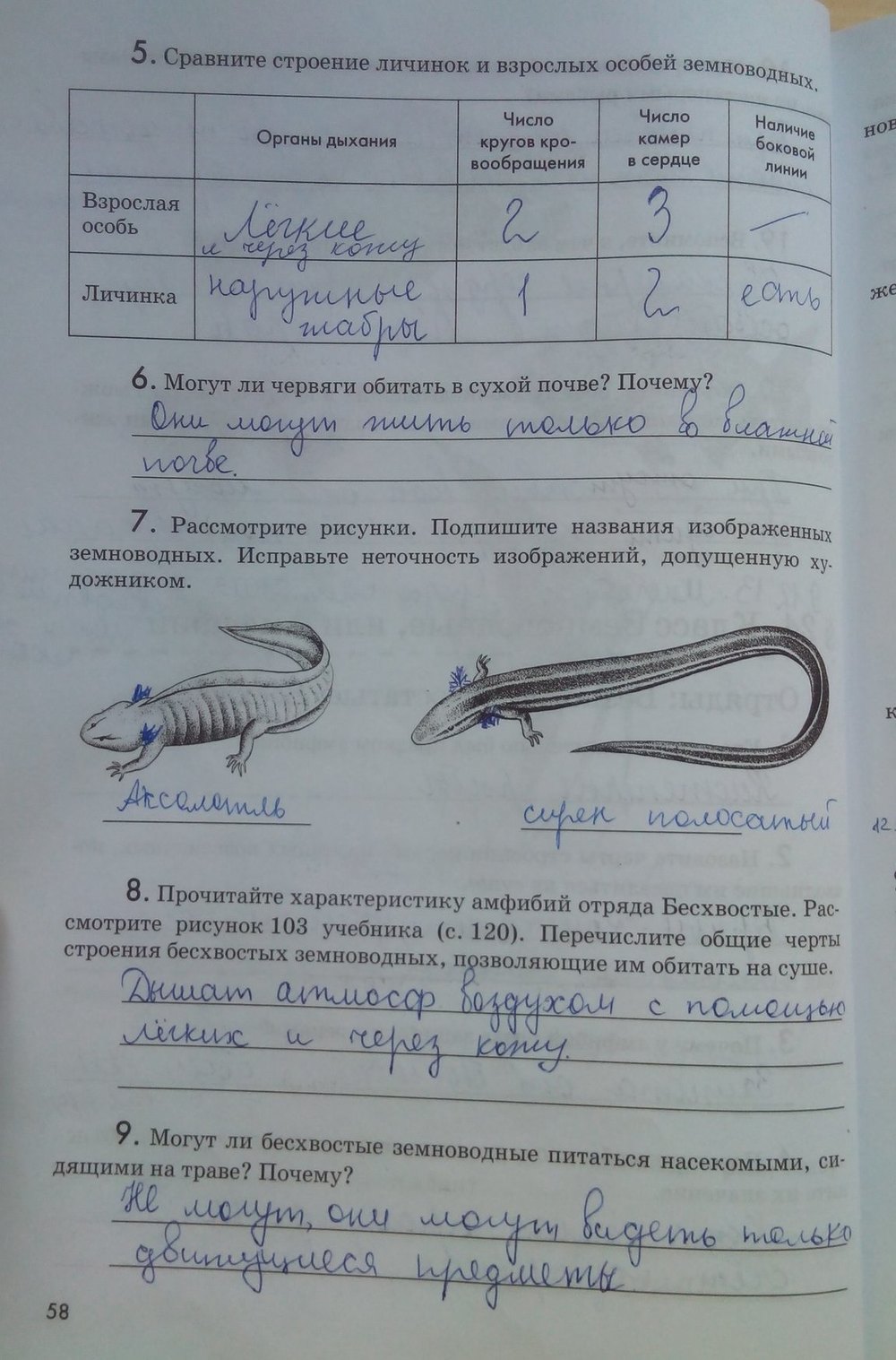 Рабочая тетрадь по биологии 7 класс. Биология. Животные, задание номер стр.  58