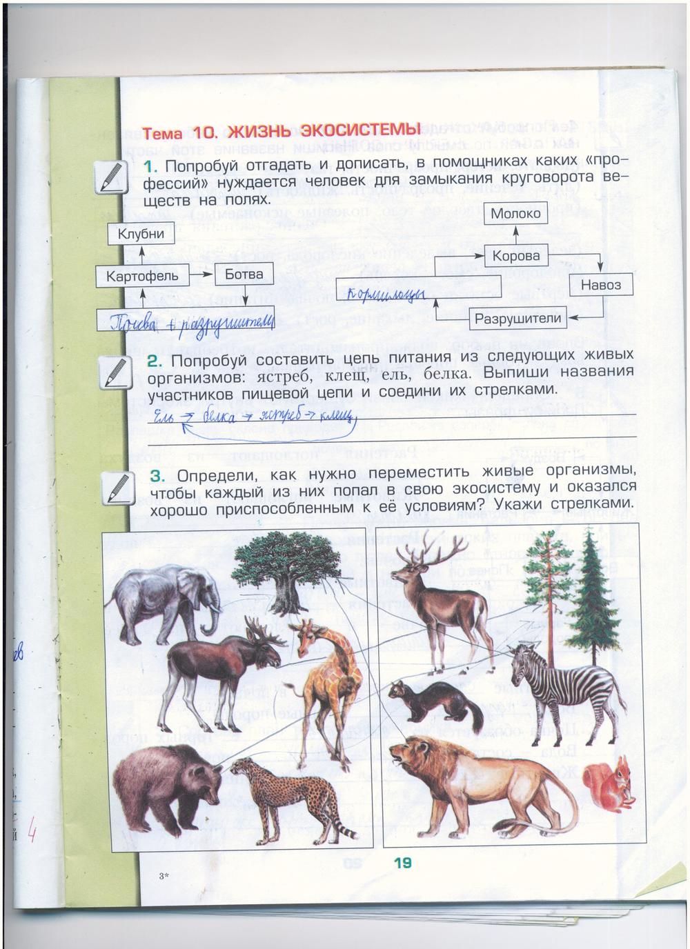 Рабочая тетрадь по окружающему миру 3 класс. Обитатели Земли, задание номер  стр. 19