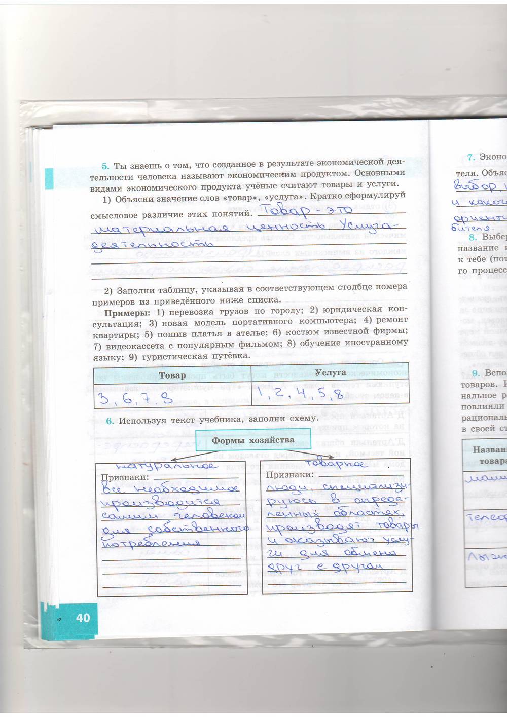 Заполни схему впиши номера приведенных ниже примеров