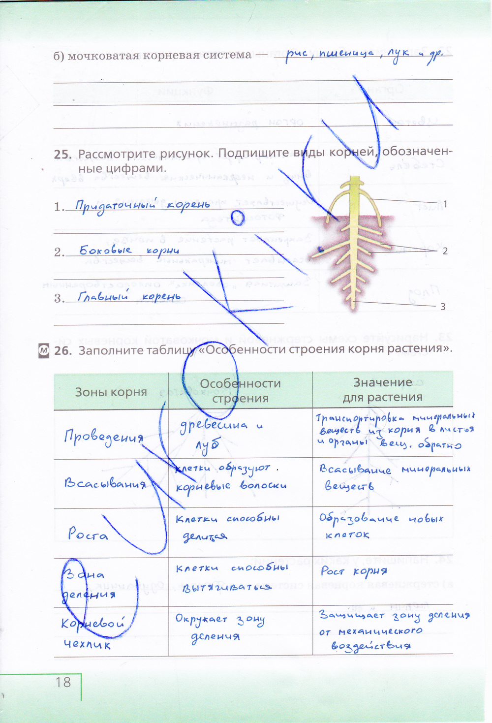 Рабочая тетрадь по биологии 6 класс (с белочкой), задание номер стр. 18