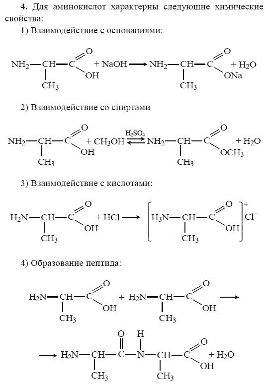 Аминокислоты белки химия 10 класс презентация