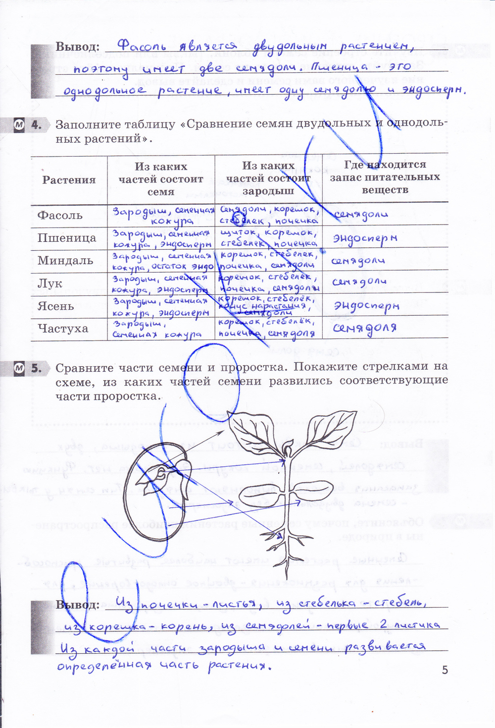 Рабочая тетрадь по биологии 6 класс, задание номер стр. 5